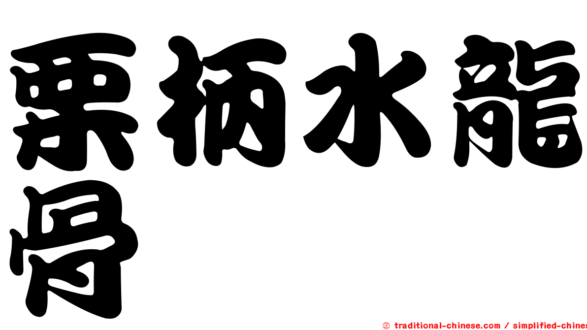 栗柄水龍骨