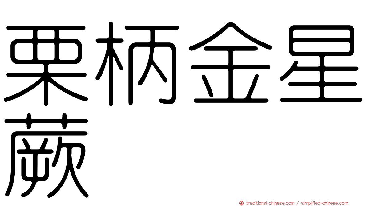 栗柄金星蕨