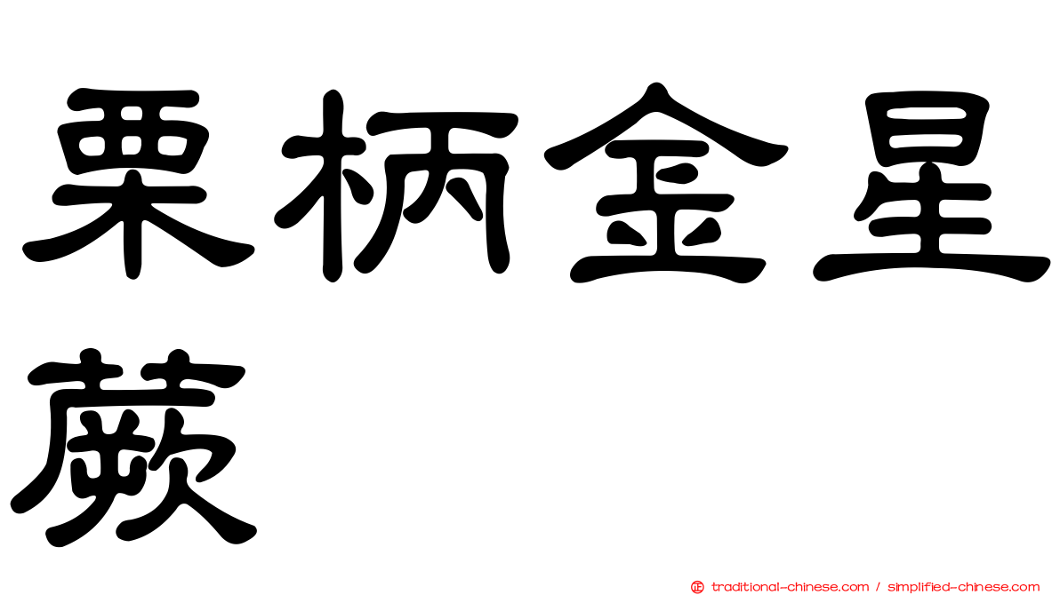 栗柄金星蕨