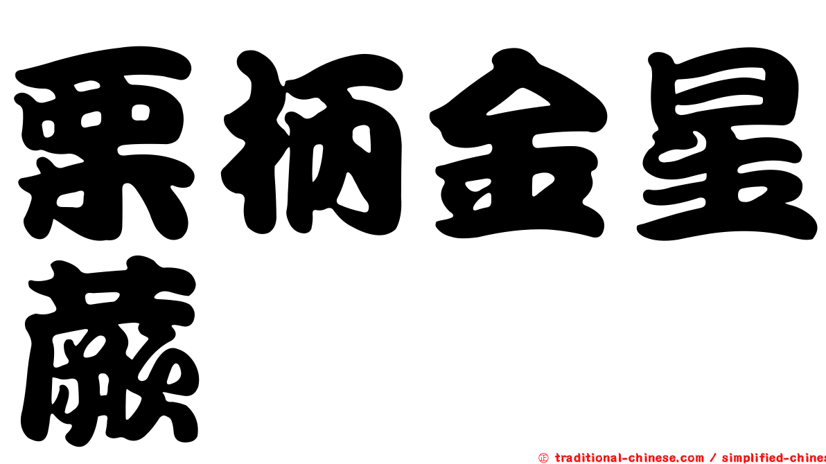 栗柄金星蕨