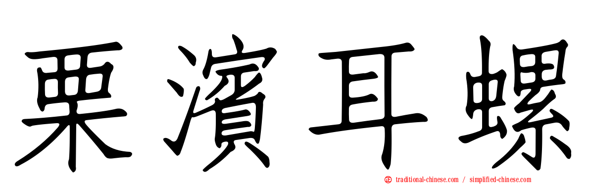 栗濱耳螺