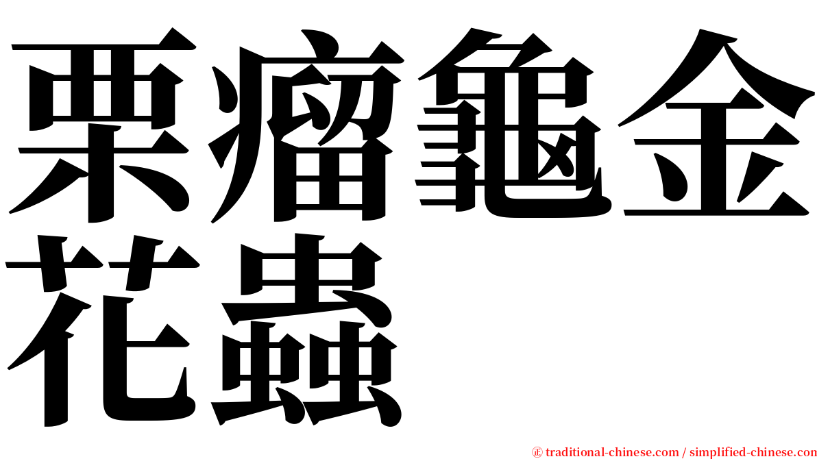栗瘤龜金花蟲 serif font