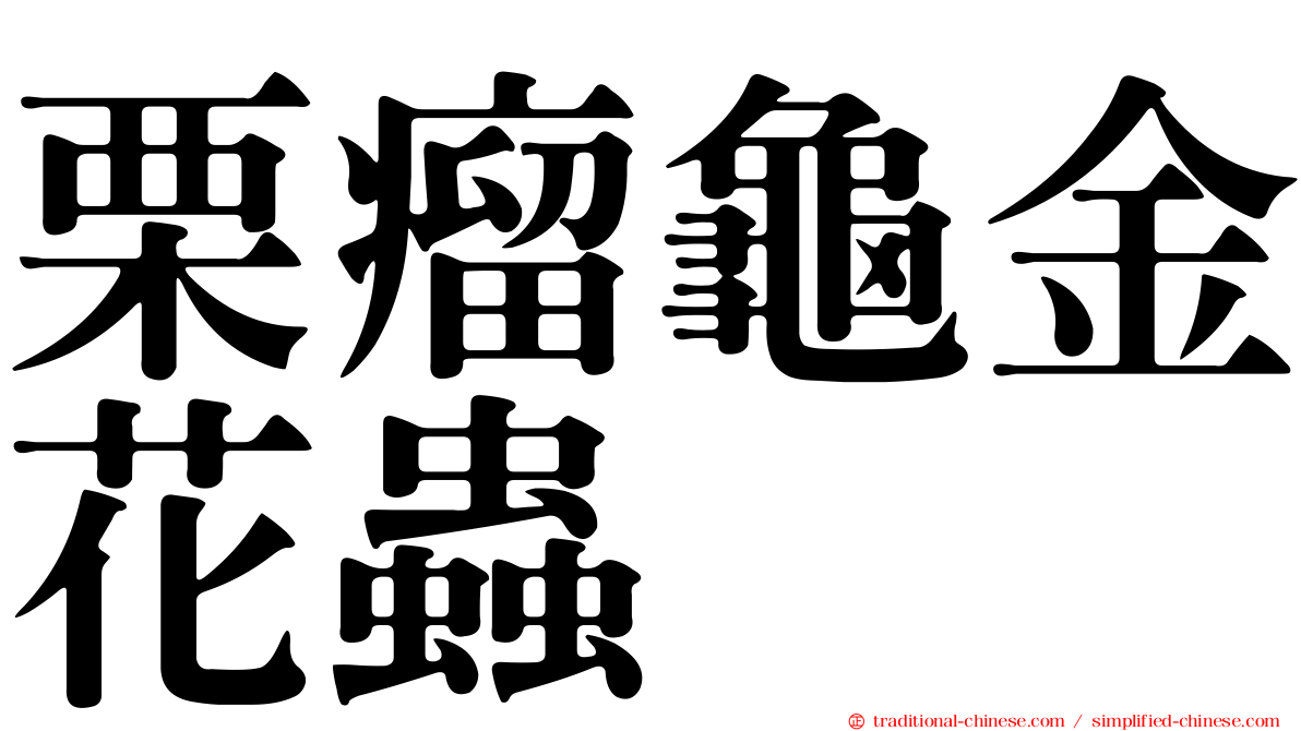 栗瘤龜金花蟲