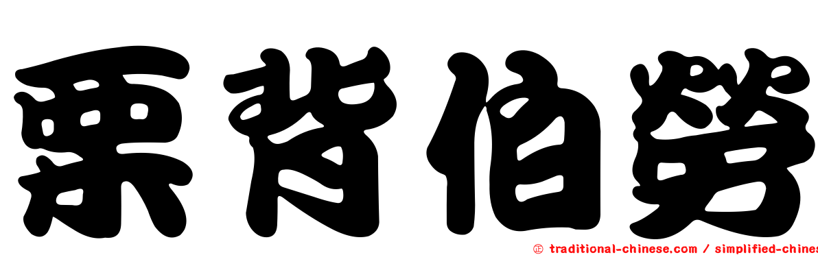 栗背伯勞