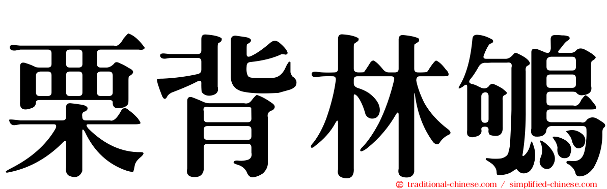 栗背林鴝