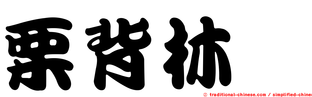 栗背林鴝