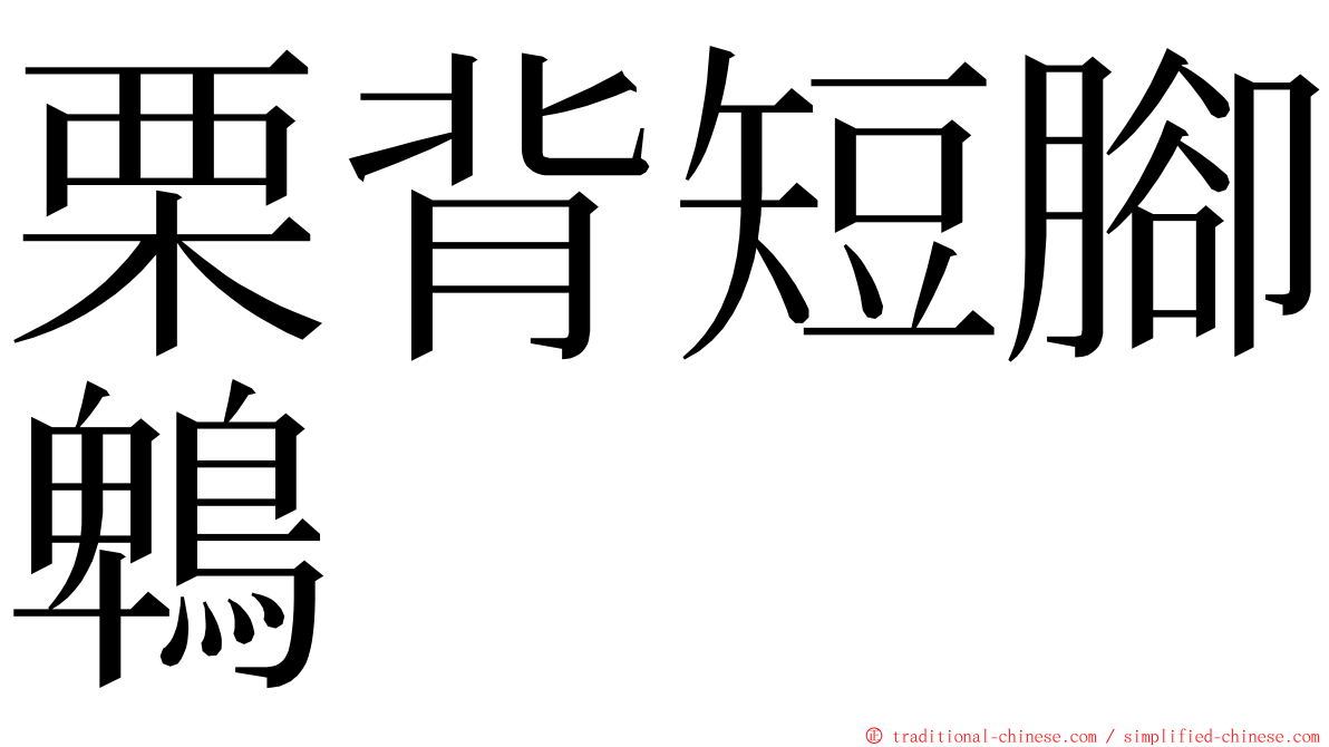 栗背短腳鵯 ming font