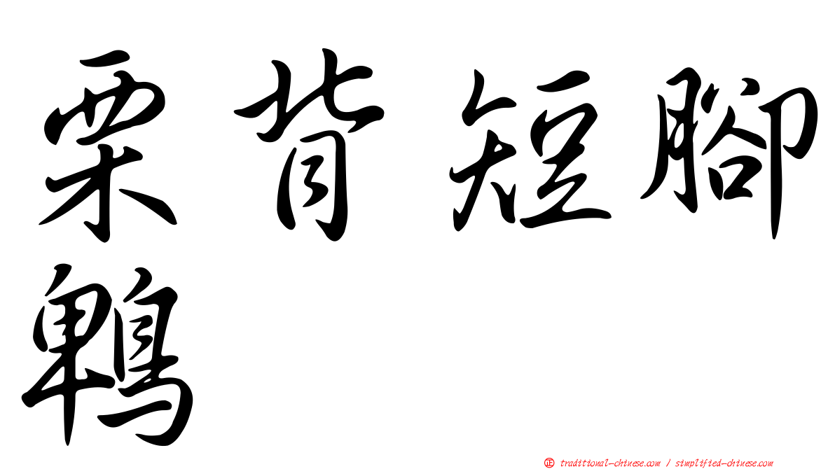 栗背短腳鵯