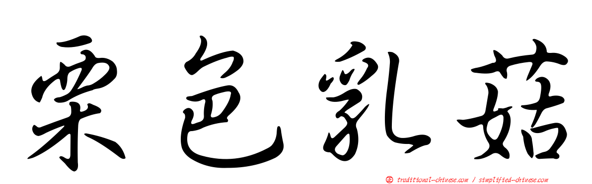 栗色乳菇