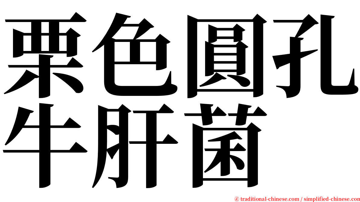 栗色圓孔牛肝菌 serif font
