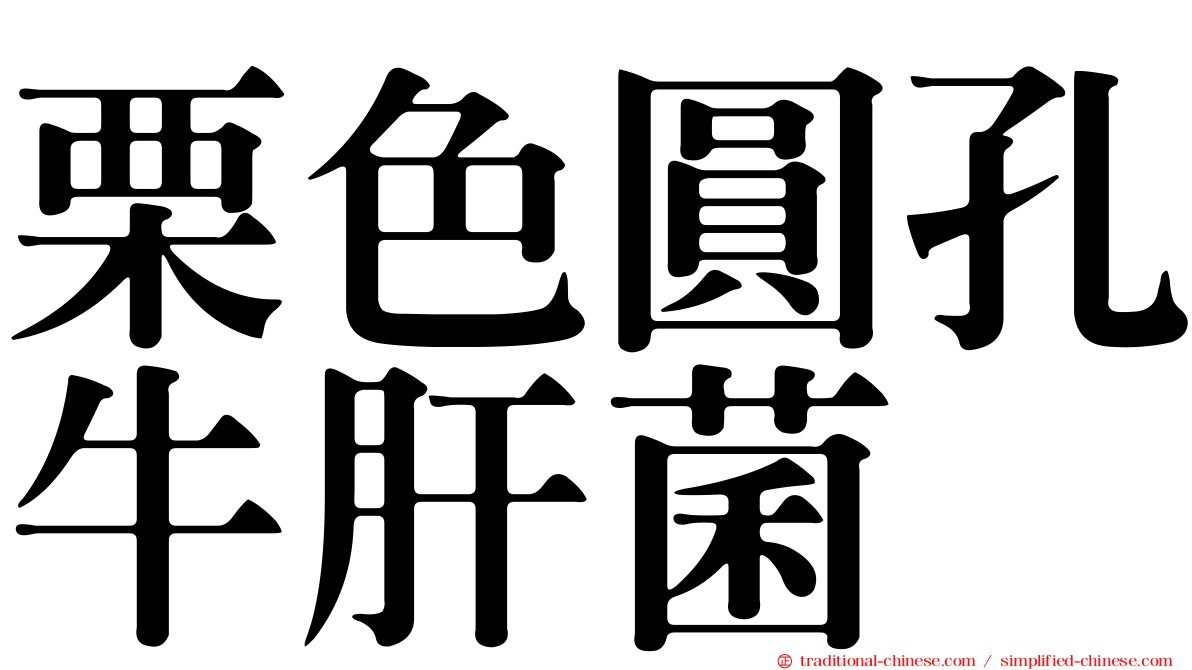 栗色圓孔牛肝菌