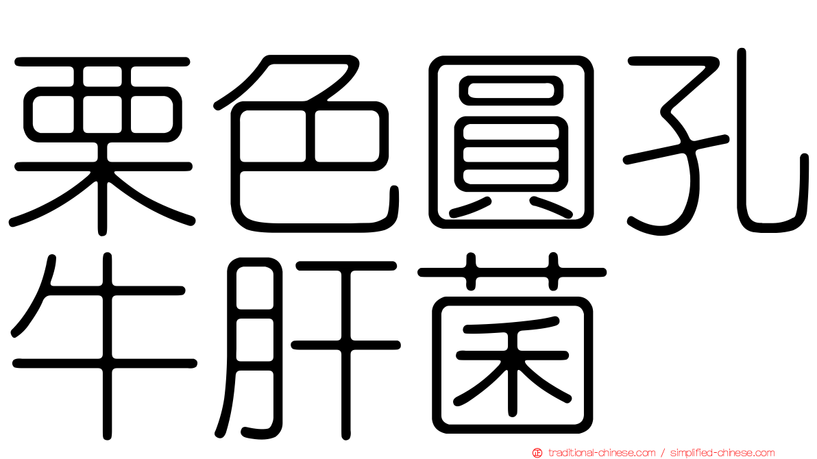 栗色圓孔牛肝菌
