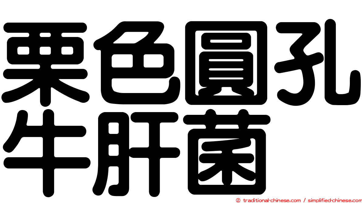 栗色圓孔牛肝菌
