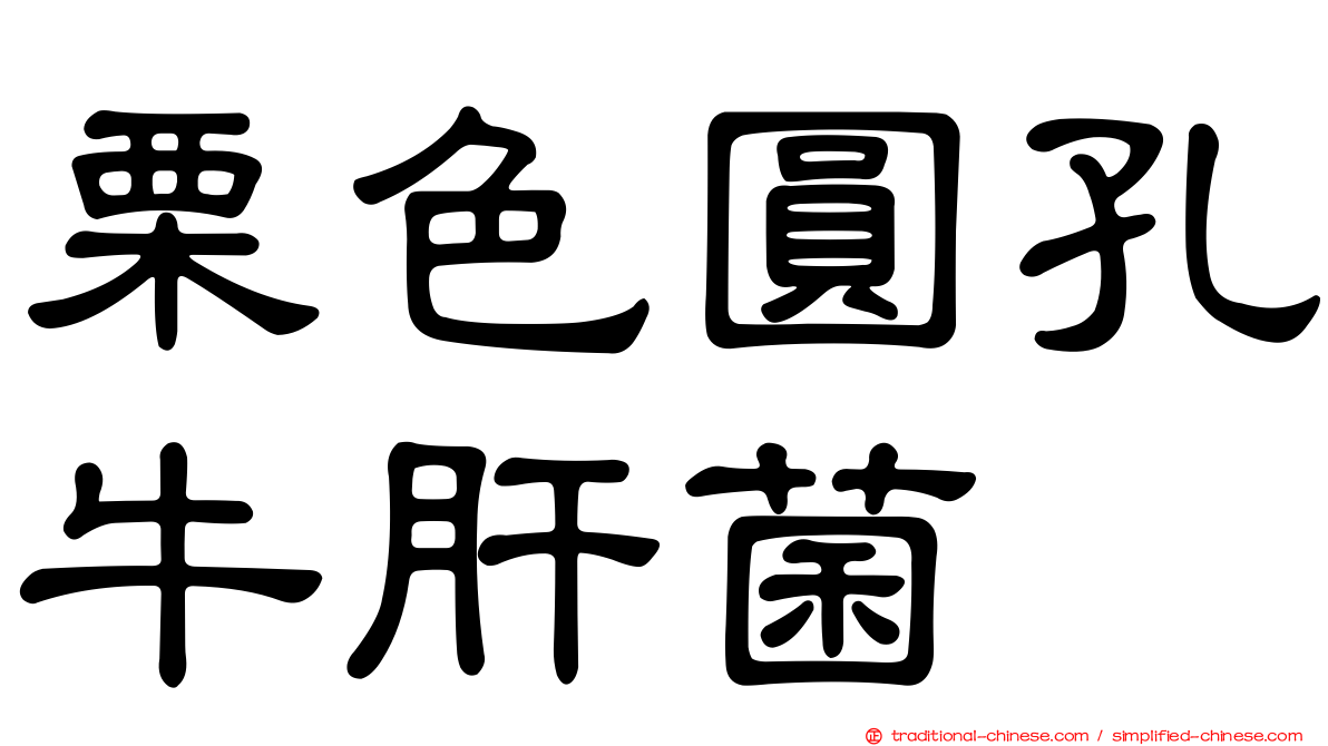 栗色圓孔牛肝菌