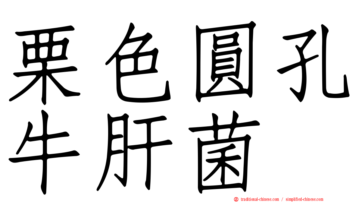 栗色圓孔牛肝菌