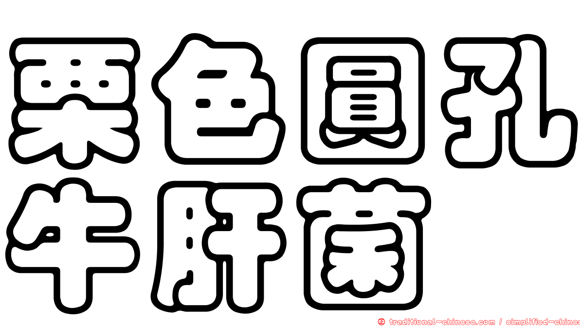 栗色圓孔牛肝菌