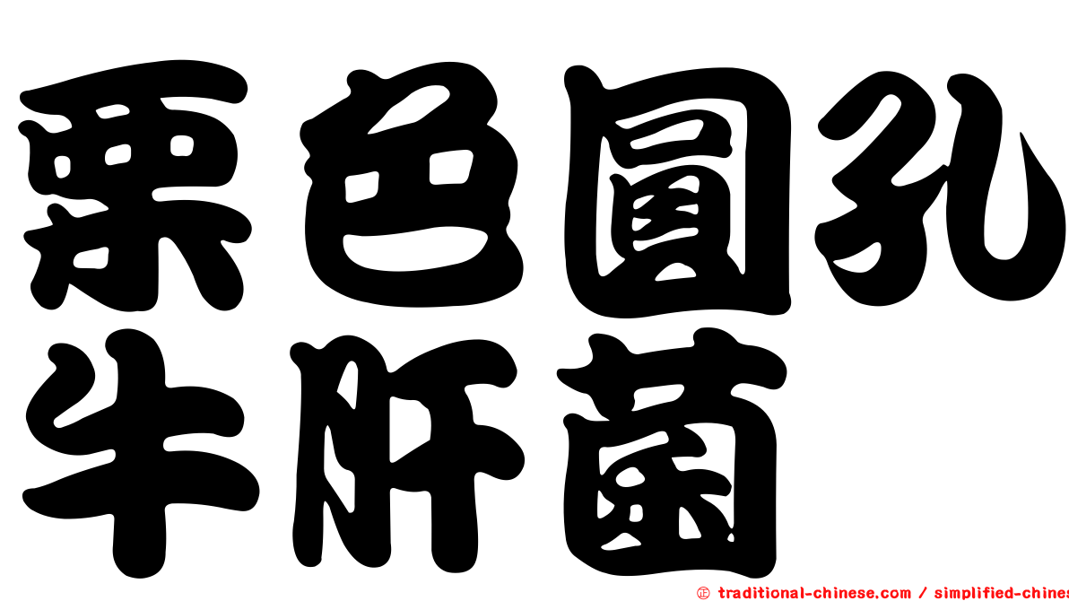 栗色圓孔牛肝菌