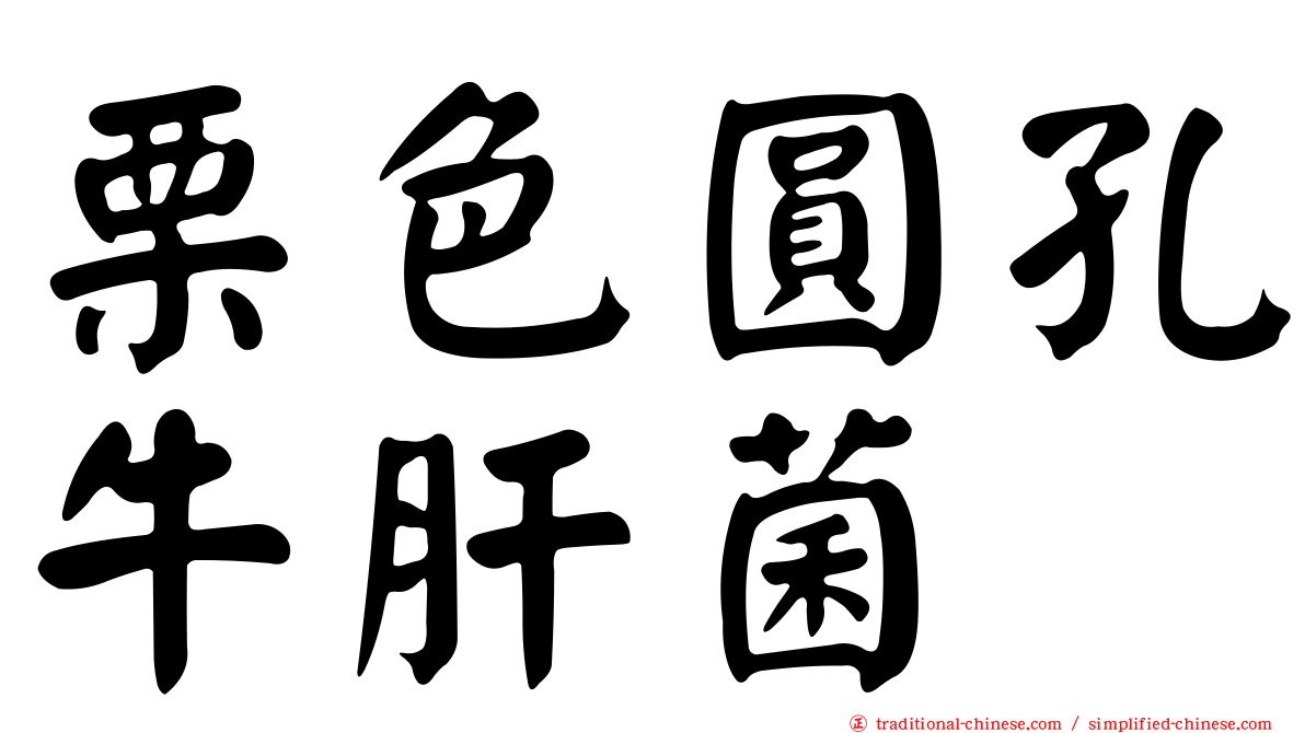 栗色圓孔牛肝菌