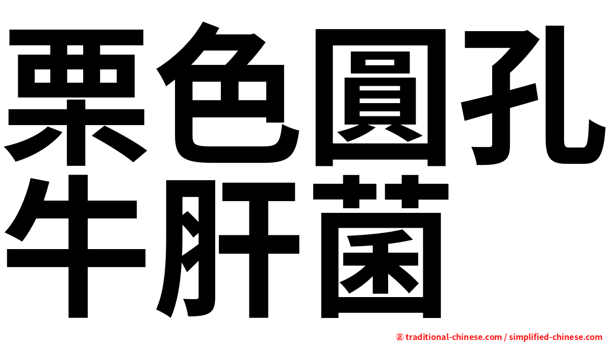 栗色圓孔牛肝菌