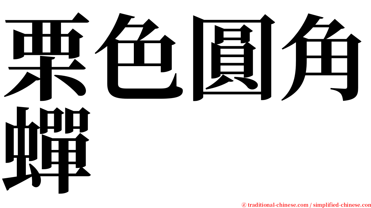 栗色圓角蟬 serif font
