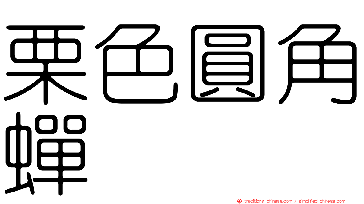 栗色圓角蟬