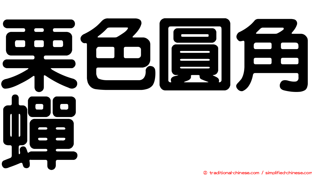 栗色圓角蟬