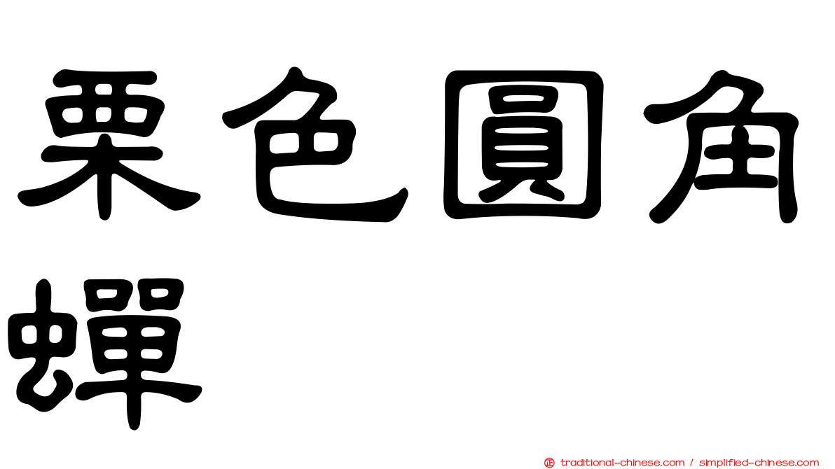 栗色圓角蟬