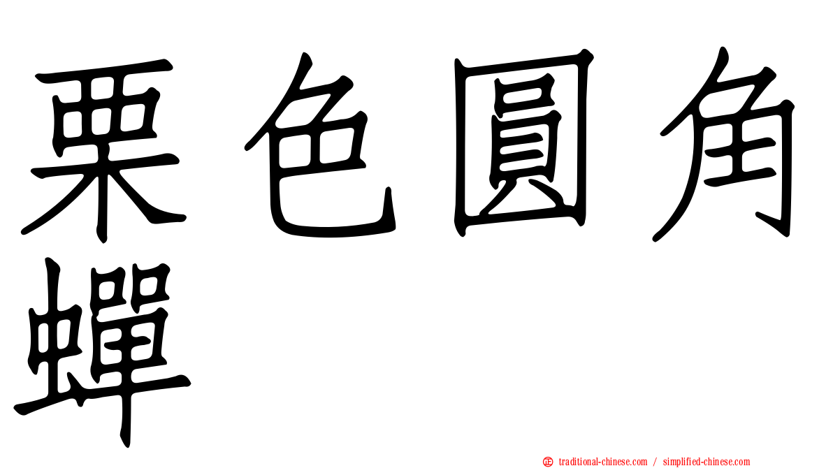 栗色圓角蟬
