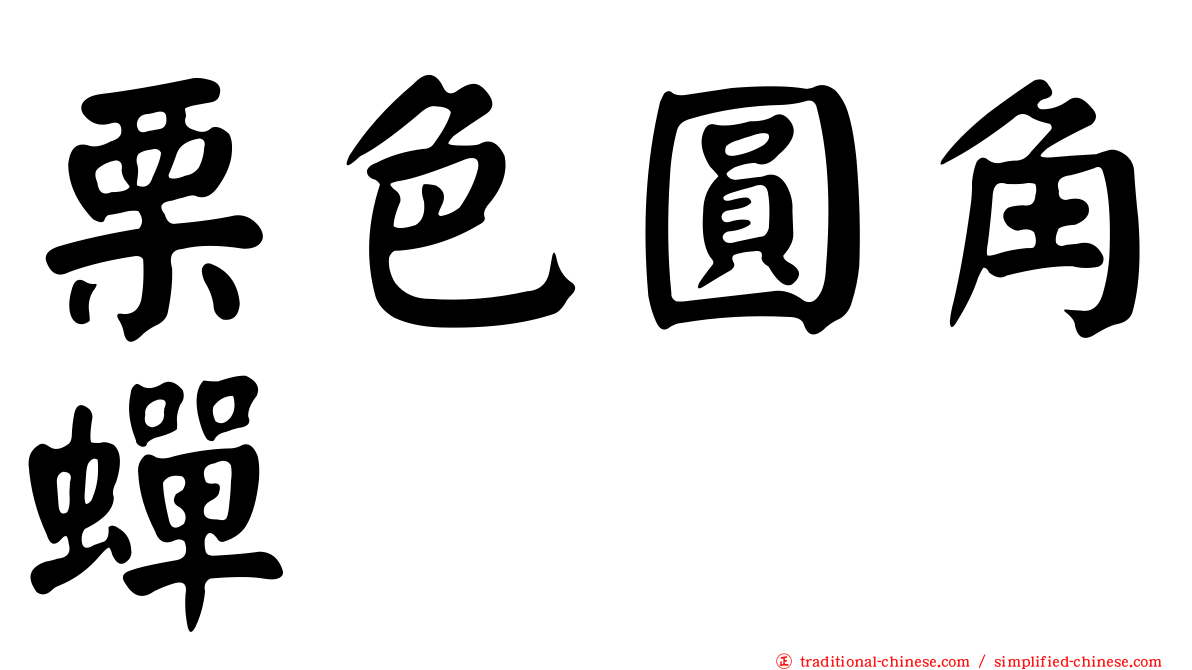 栗色圓角蟬