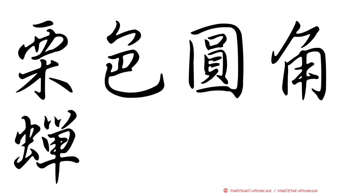 栗色圓角蟬