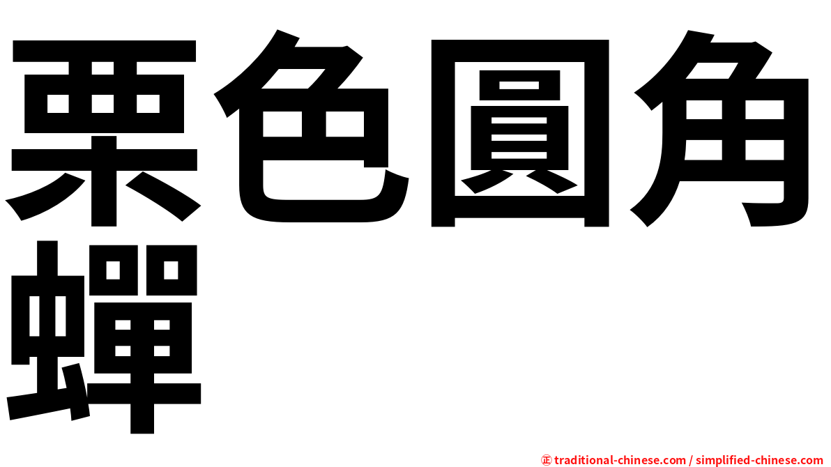 栗色圓角蟬