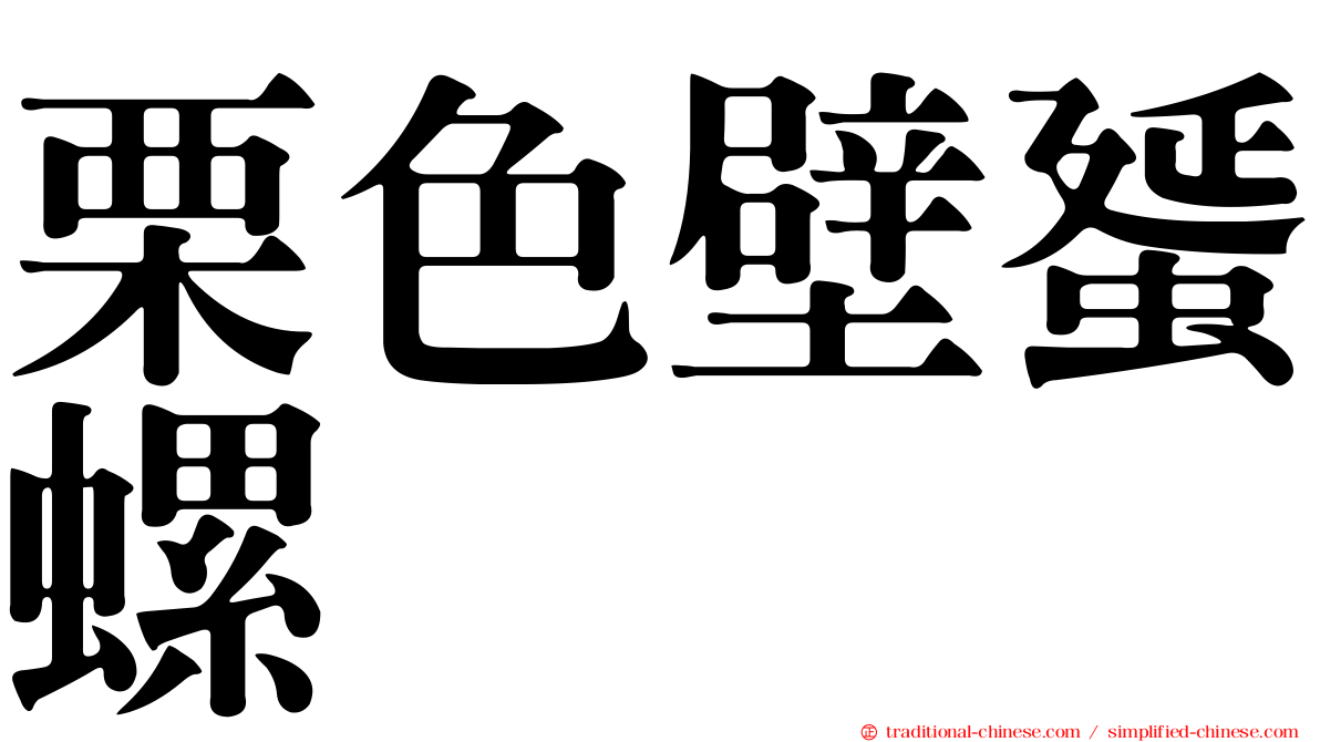 栗色壁蜑螺