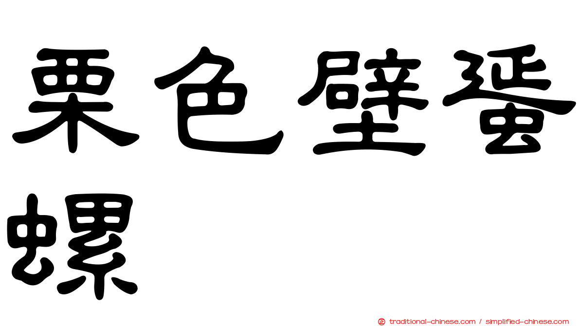 栗色壁蜑螺