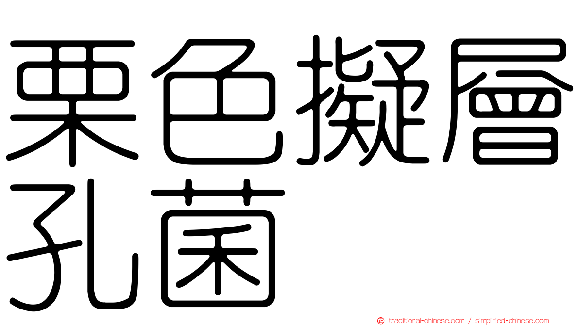 栗色擬層孔菌