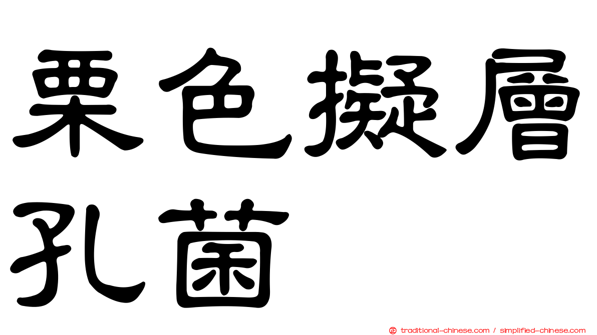 栗色擬層孔菌
