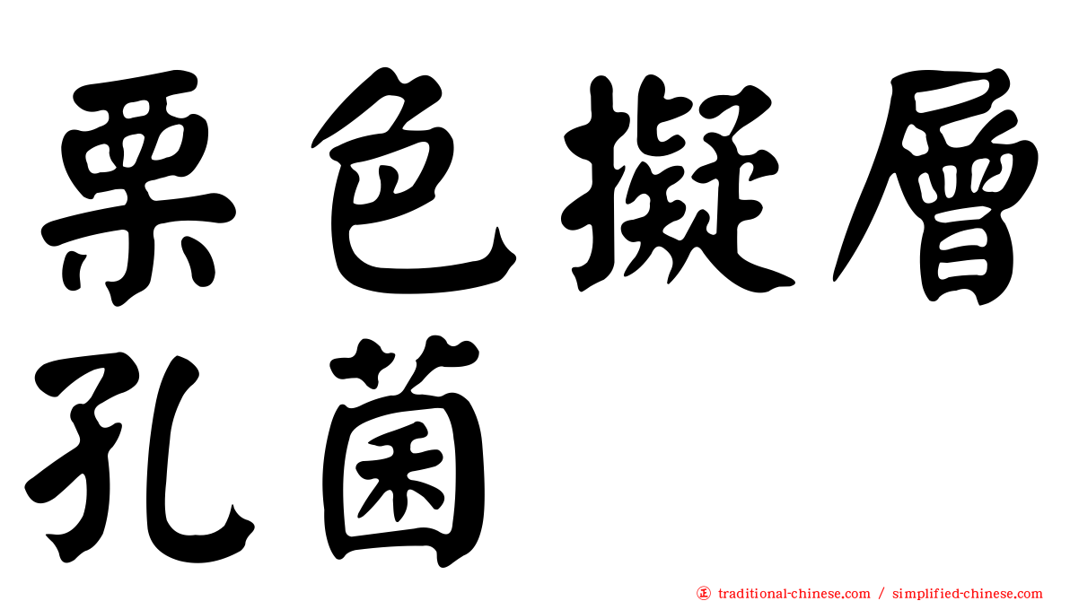栗色擬層孔菌