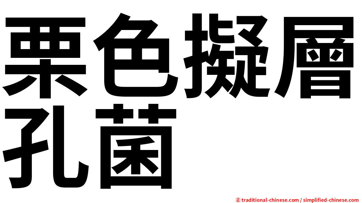 栗色擬層孔菌