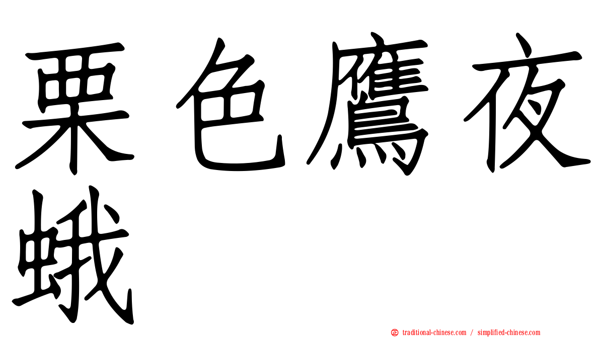 栗色鷹夜蛾