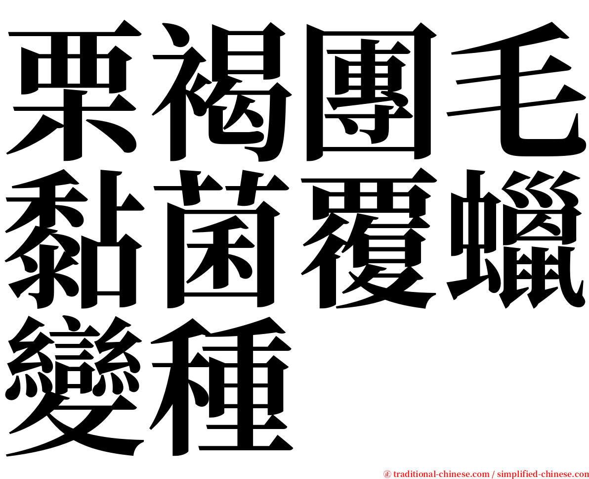 栗褐團毛黏菌覆蠟變種 serif font