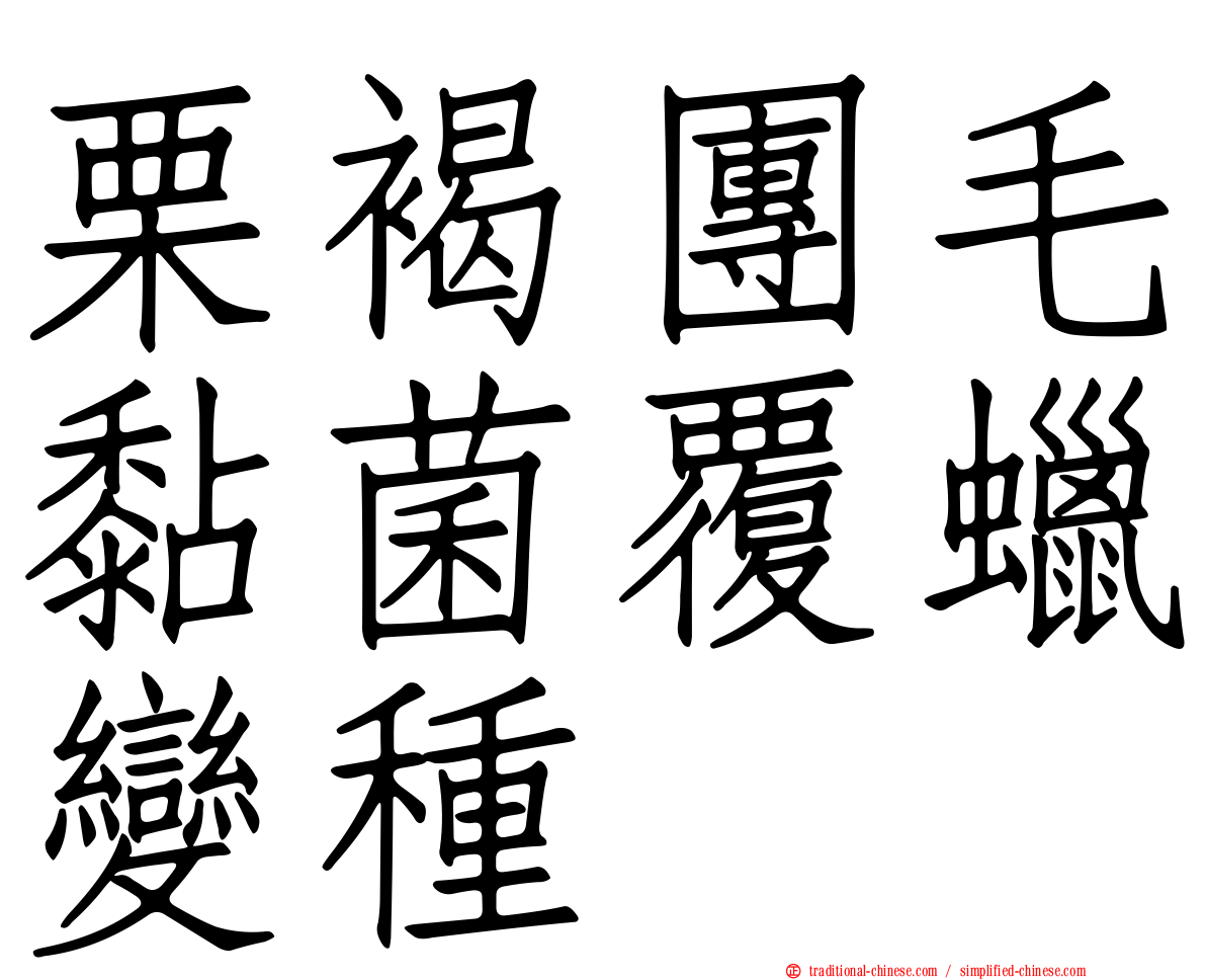 栗褐團毛黏菌覆蠟變種