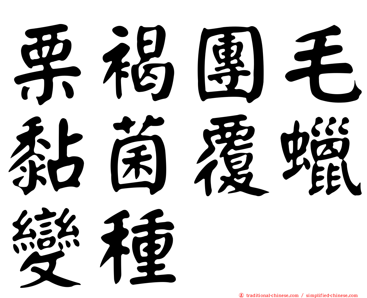 栗褐團毛黏菌覆蠟變種