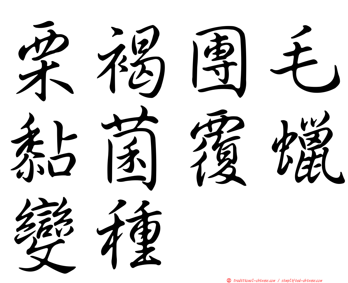 栗褐團毛黏菌覆蠟變種