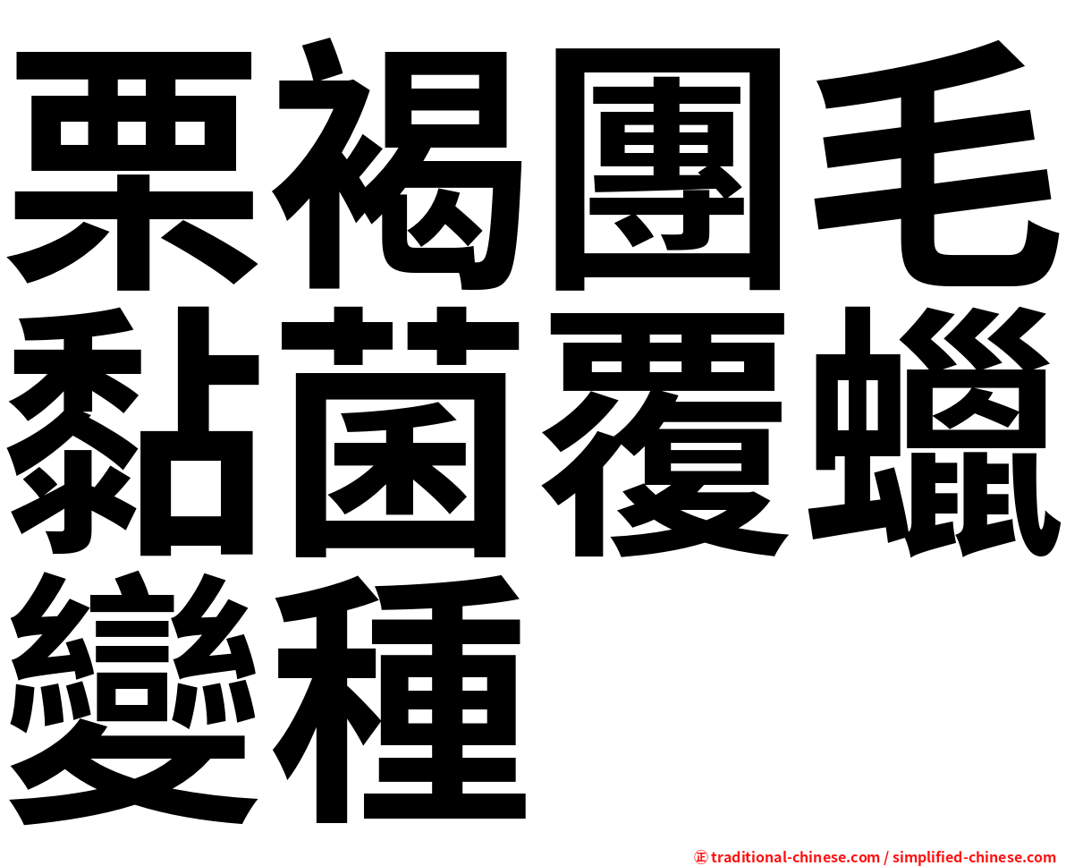 栗褐團毛黏菌覆蠟變種