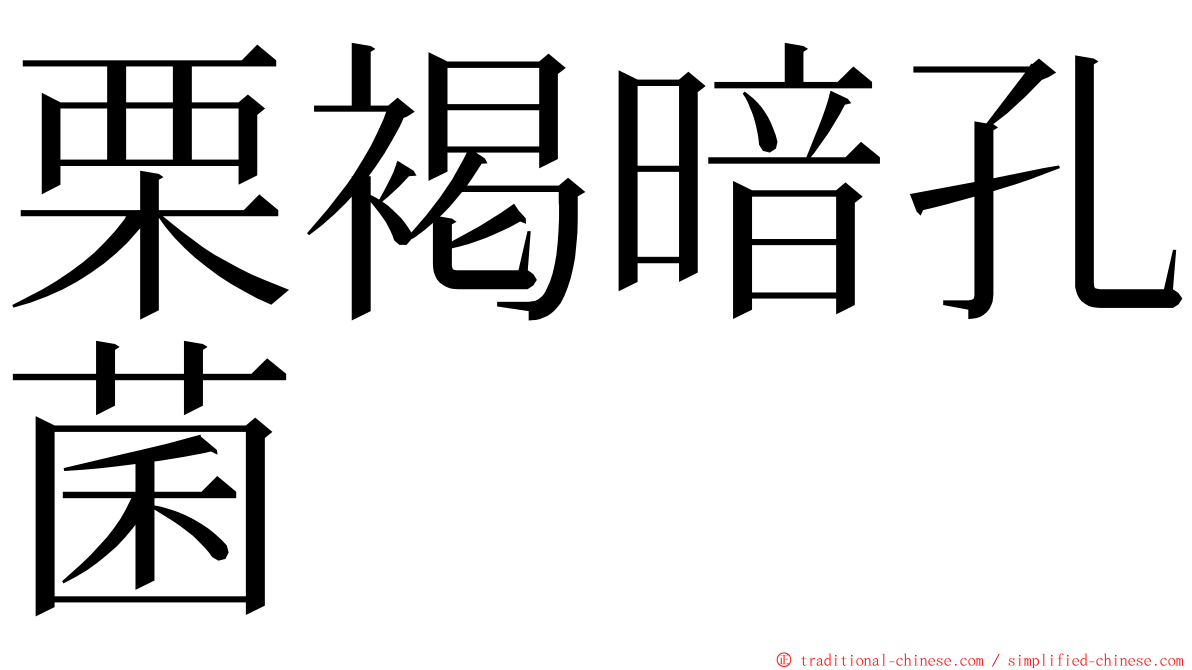 栗褐暗孔菌 ming font