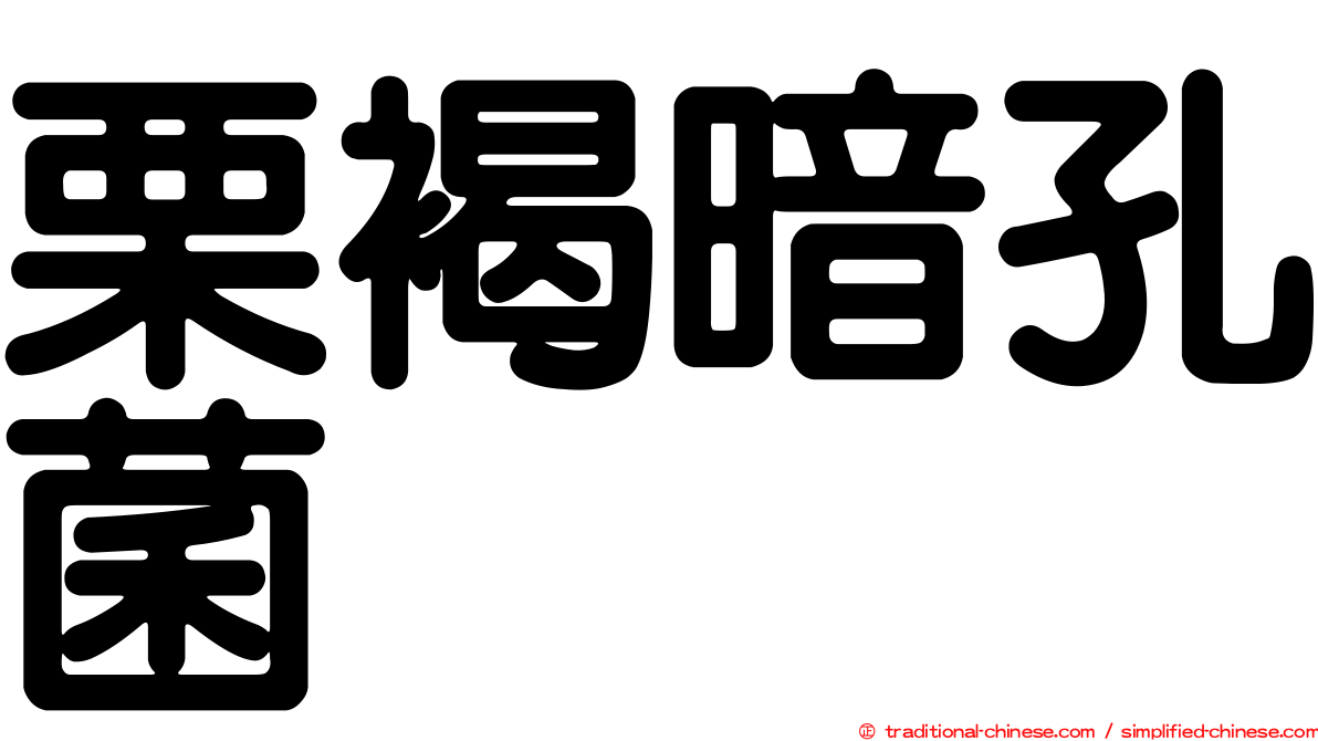 栗褐暗孔菌