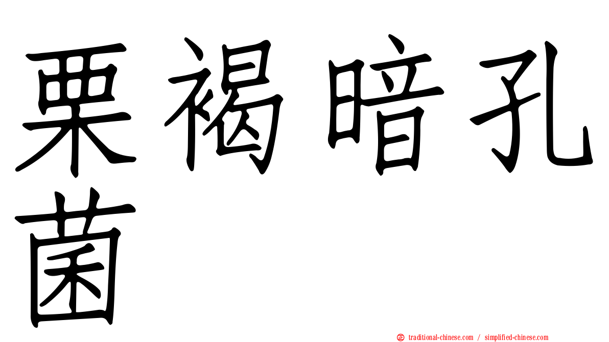 栗褐暗孔菌