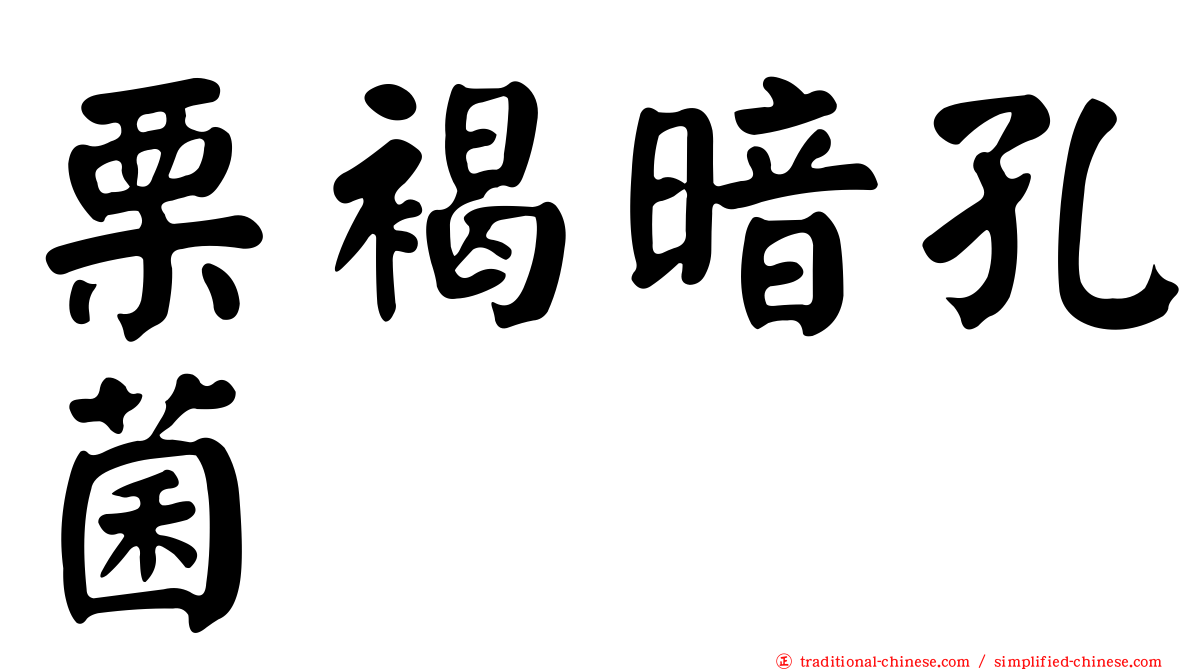 栗褐暗孔菌