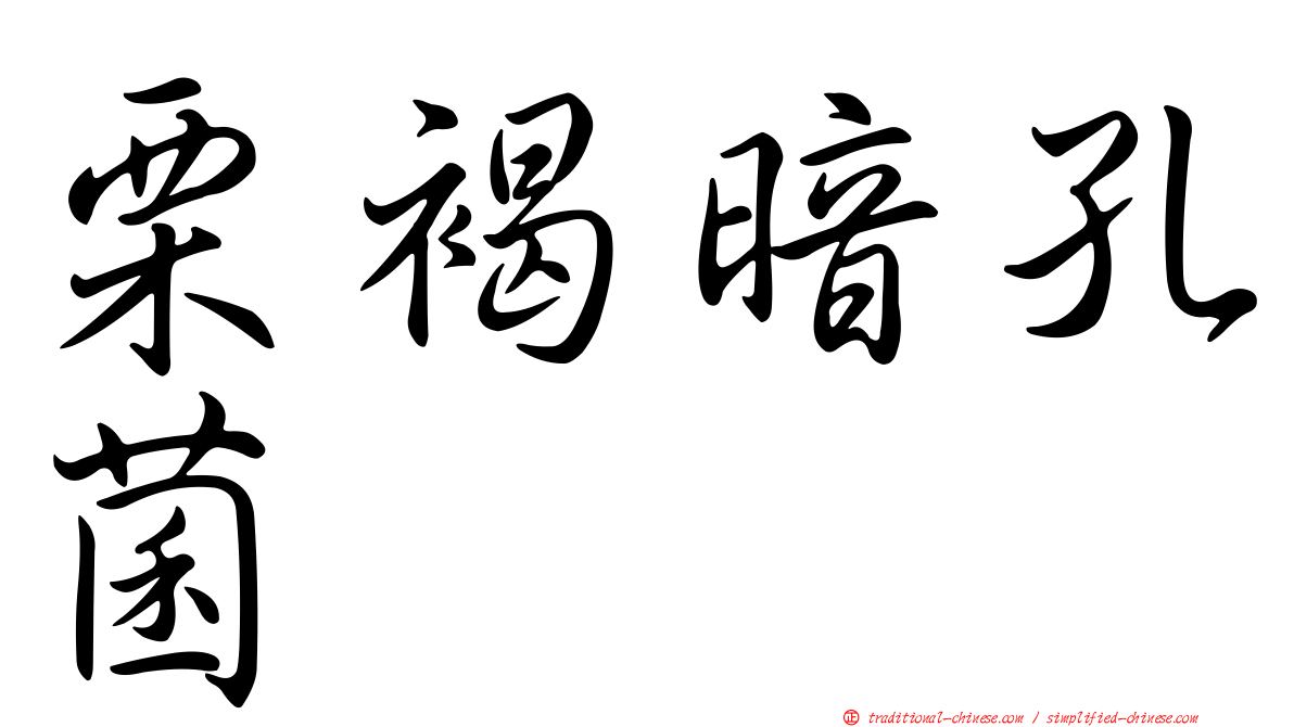 栗褐暗孔菌