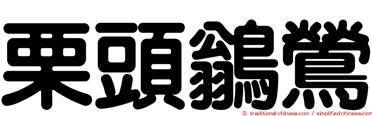 栗頭鶲鶯