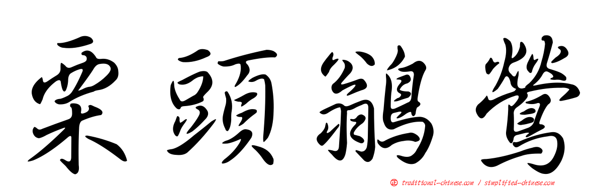 栗頭鶲鶯